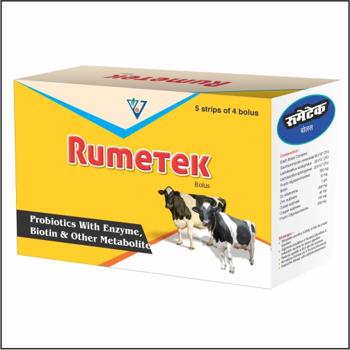 Dry Cow Feed Supplement