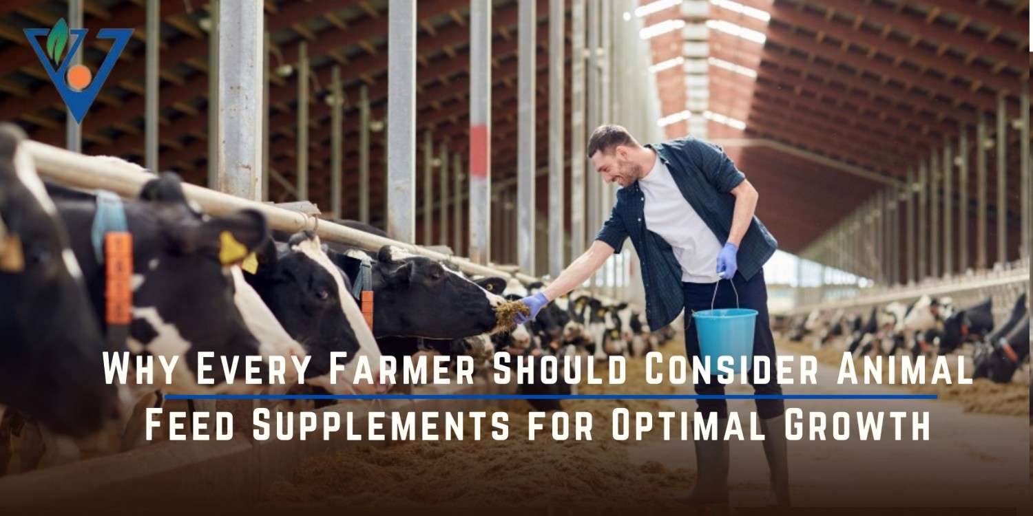 Why Every Farmer Should Consider Animal Feed Supplements for Optimal Growth